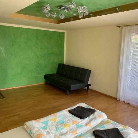Nexi s Appartement an der Enns 9 Radstadt Extérieur photo